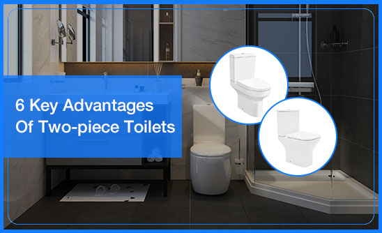 6 Key Advantages Of two-piece toilets